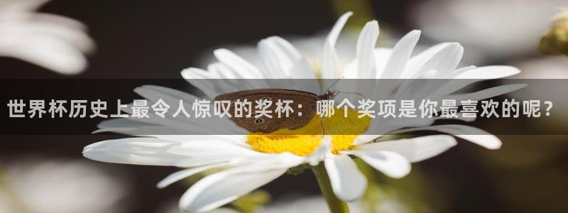 免费看足球直播比赛：世界杯历史上最令人惊叹的奖杯：哪个奖项是你最喜欢的呢？