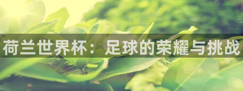 2026年世界杯时间表：荷兰世界杯：足球的荣耀与挑战
