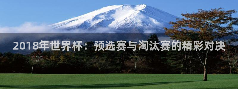 联赛杯直播：2018年世界杯：预选赛与淘汰赛的精彩对决
