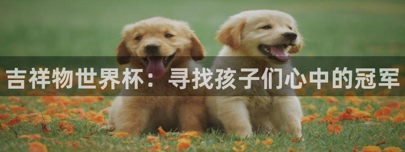 2026男足世界杯赛程：吉祥物世界杯：寻找孩子们心中的冠军