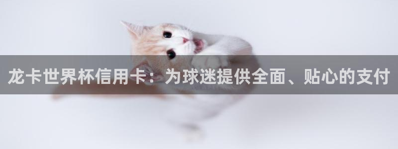 2026年世界杯时间表：龙卡世界杯信用卡：为球迷提供全面、贴心的支付
