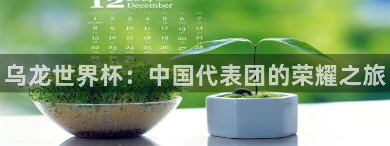 世界杯直播网站：乌龙世界杯：中国代表团的荣耀之旅