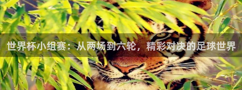 2026世亚预赛赛程表：世界杯小组赛：从两场到六轮，精彩对决的足球世界