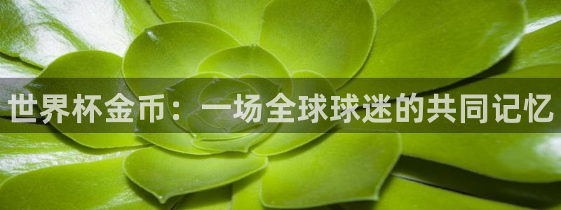 世界杯球队：世界杯金币：一场全球球迷的共同记忆