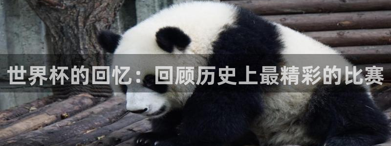 2026男足世界杯：世界杯的回忆：回顾历史上最精彩的比赛
