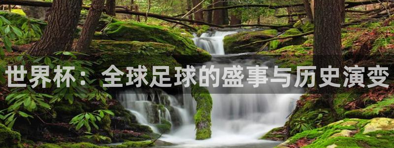 2026世界杯德国队阵容：世界杯：全球足球的盛事与历史演变