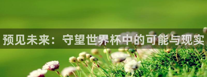 世界杯系列赛：预见未来：守望世界杯中的可能与现实