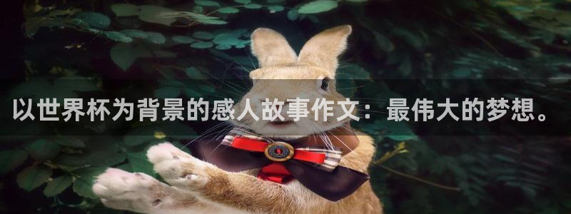 世界杯对阵图2026：以世界杯为背景的感人故事作文：最伟大的梦想。