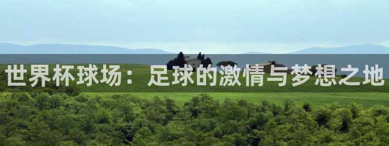 世界杯预选赛规则：世界杯球场：足球的激情与梦想之地